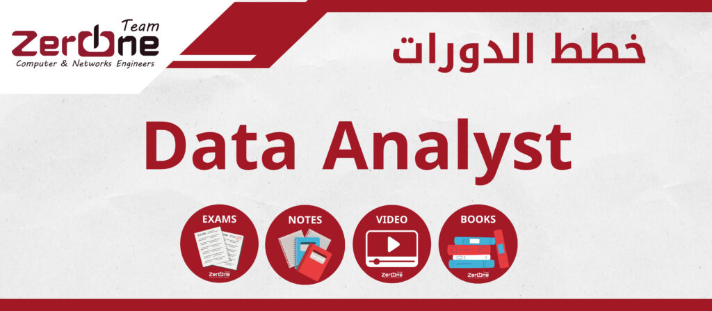 Data Analyst